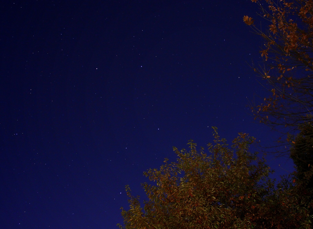 北斗七星が昇ってきました。