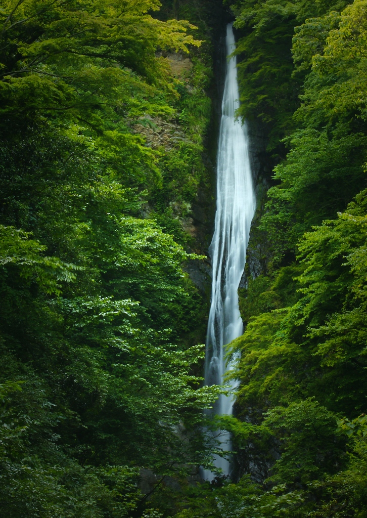 流れ落つる洒の滝