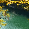 湖面の煌めき