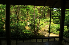 涼を求めて一休み
