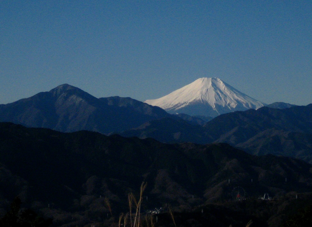 朝の富士山