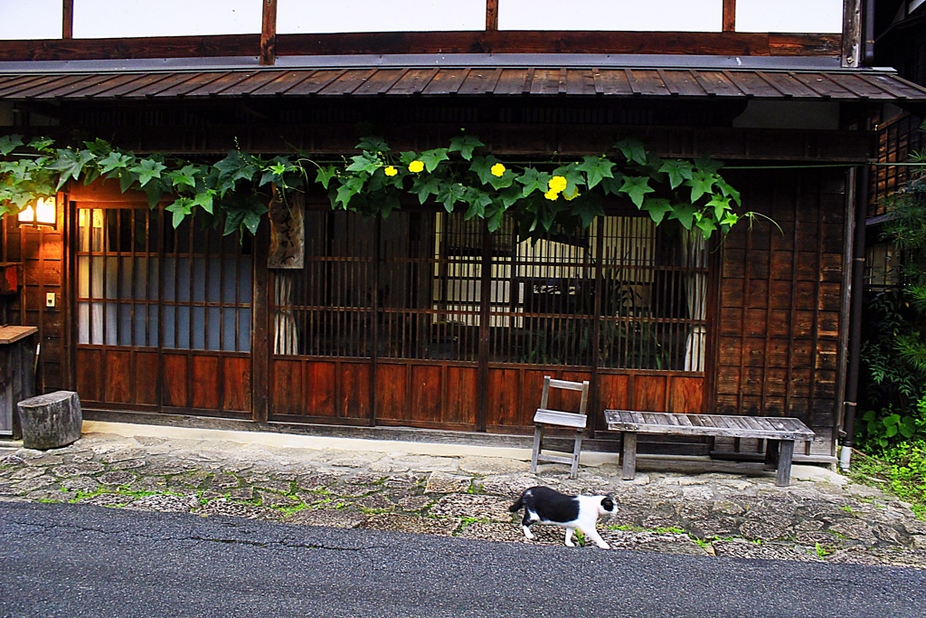 ちょつと一回りしてこよ～っと