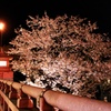 去ってしまった桜の記憶　1