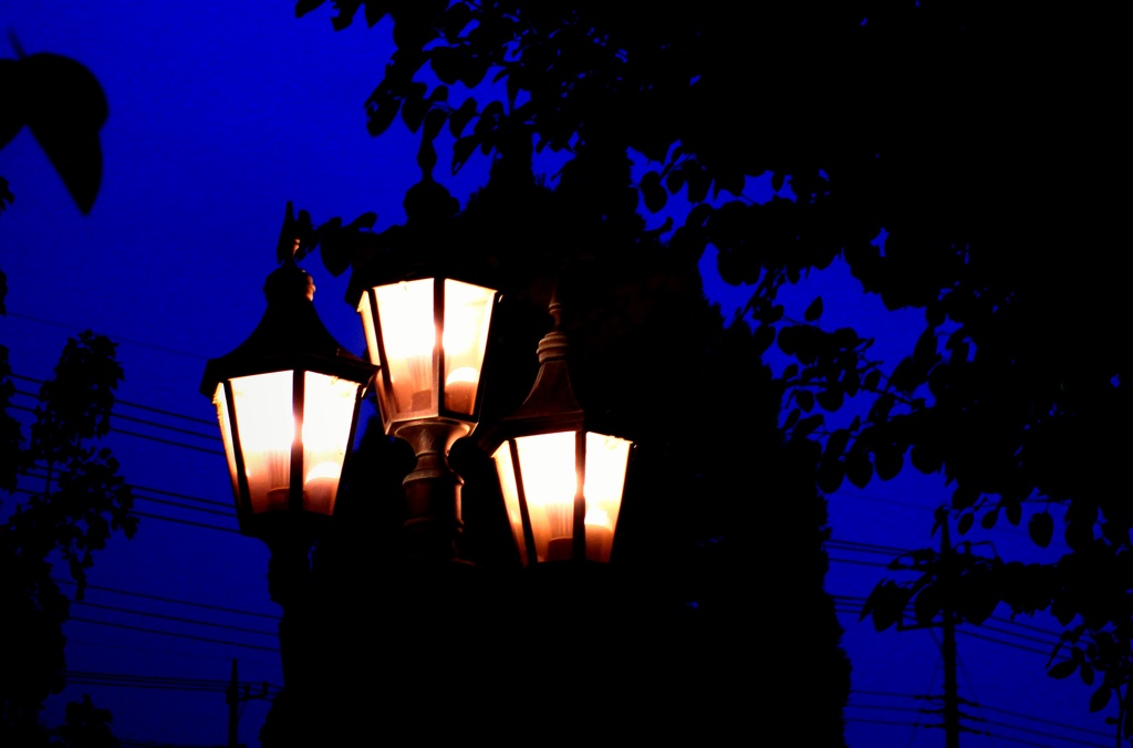 夕闇の帳が降りた時