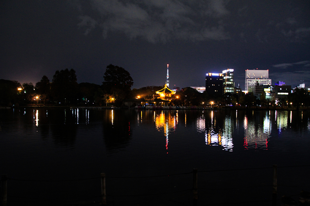 不忍池の夜景