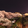 去ってしまった桜の記憶　3