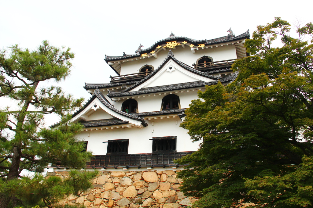 彦根城の魅力　4　天守閣