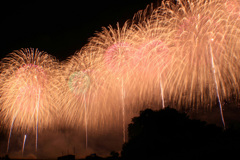 フェニックス　7