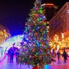 クリスマスツリーイルミネーション