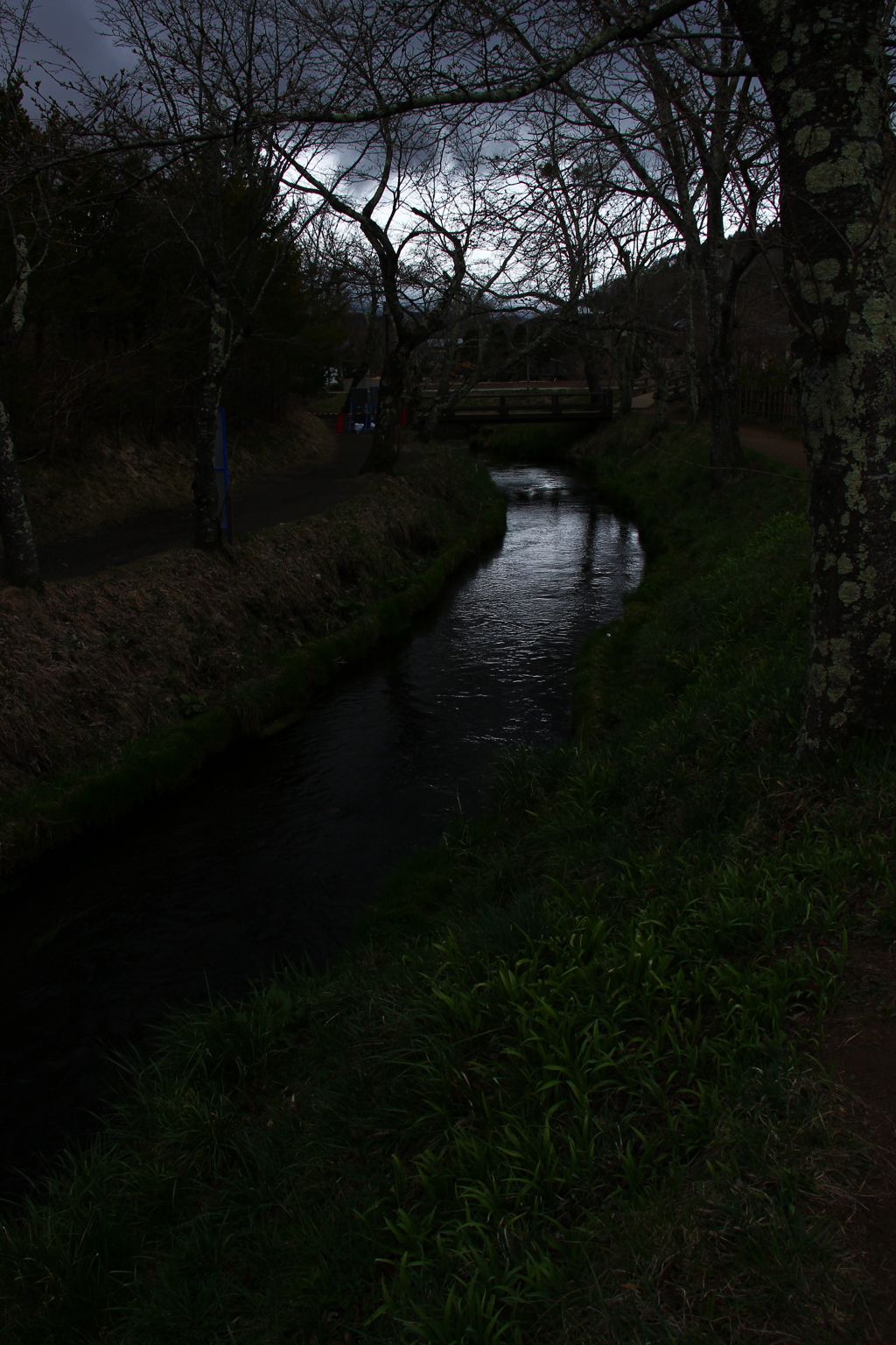 怖い帰り道(行きはよい良い帰りは怖い)(;ﾟдﾟ)