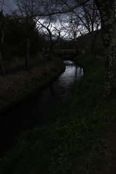 怖い帰り道(行きはよい良い帰りは怖い)(;ﾟдﾟ)