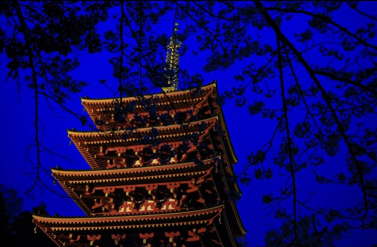夜の五重塔