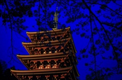 夜の五重塔