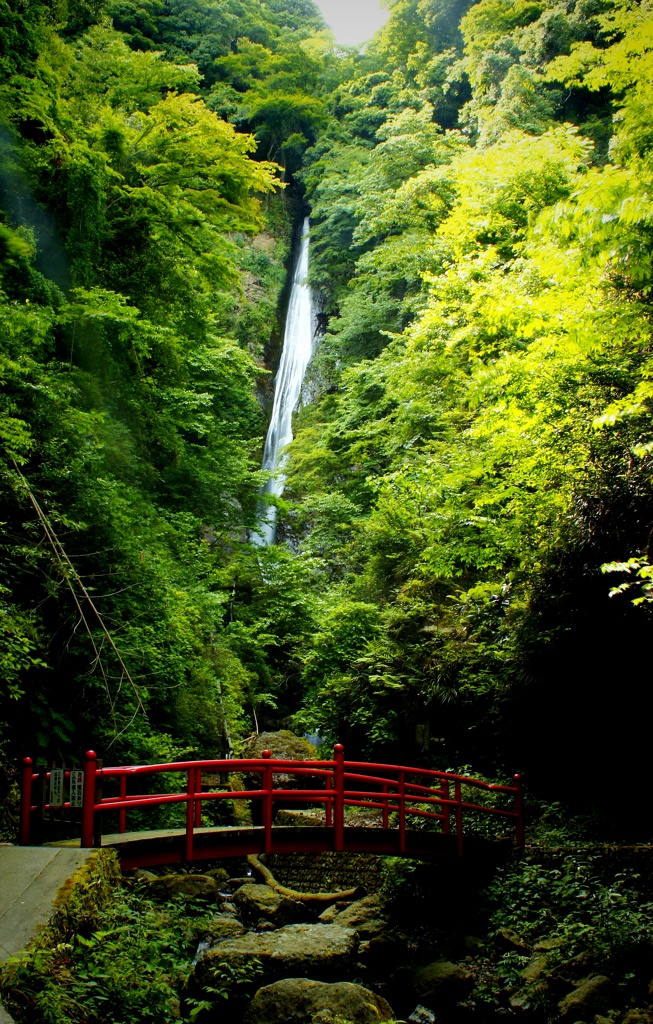 酒水の滝遠景　1