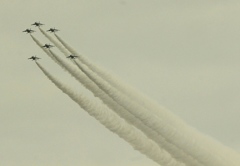 グリーンフェスタ八王子展示飛行