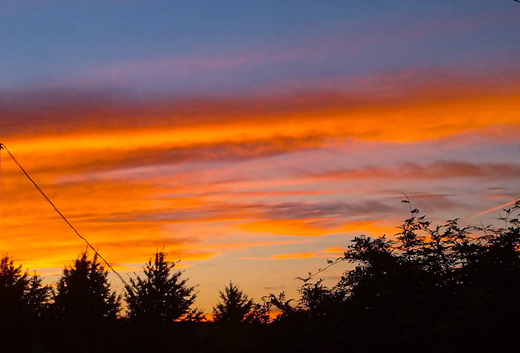 今日も良く焼けました。