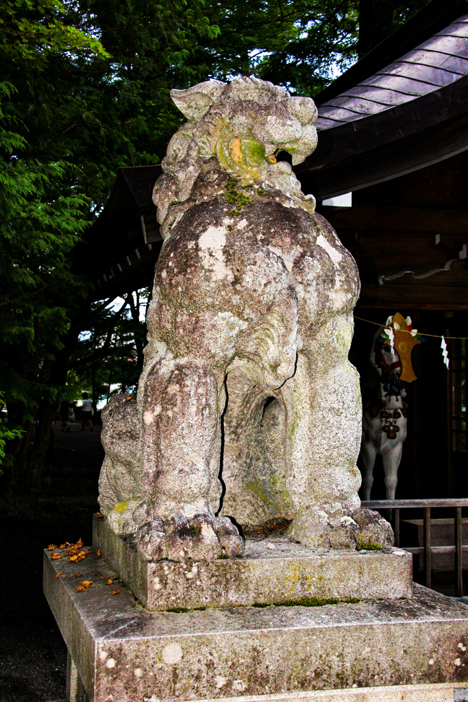 風格のある狛犬 吽形