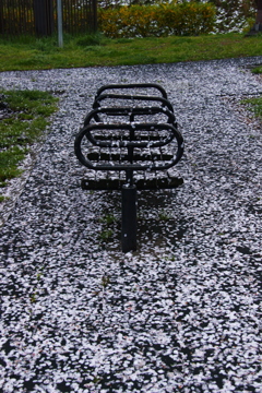誰もいない公園