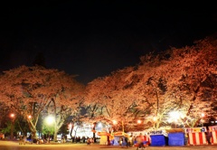 桜の宴