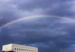 大雨の後に