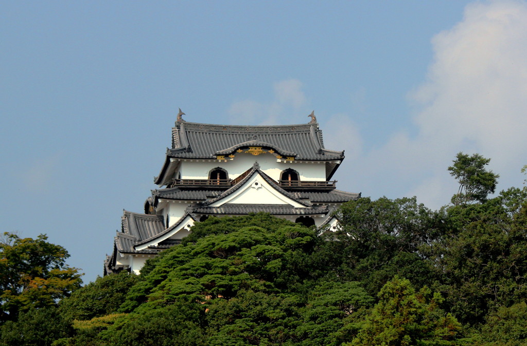 やっぱり彦根城はいいですね～。(個人的ですが)