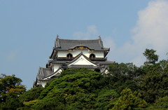 やっぱり彦根城はいいですね～。(個人的ですが)