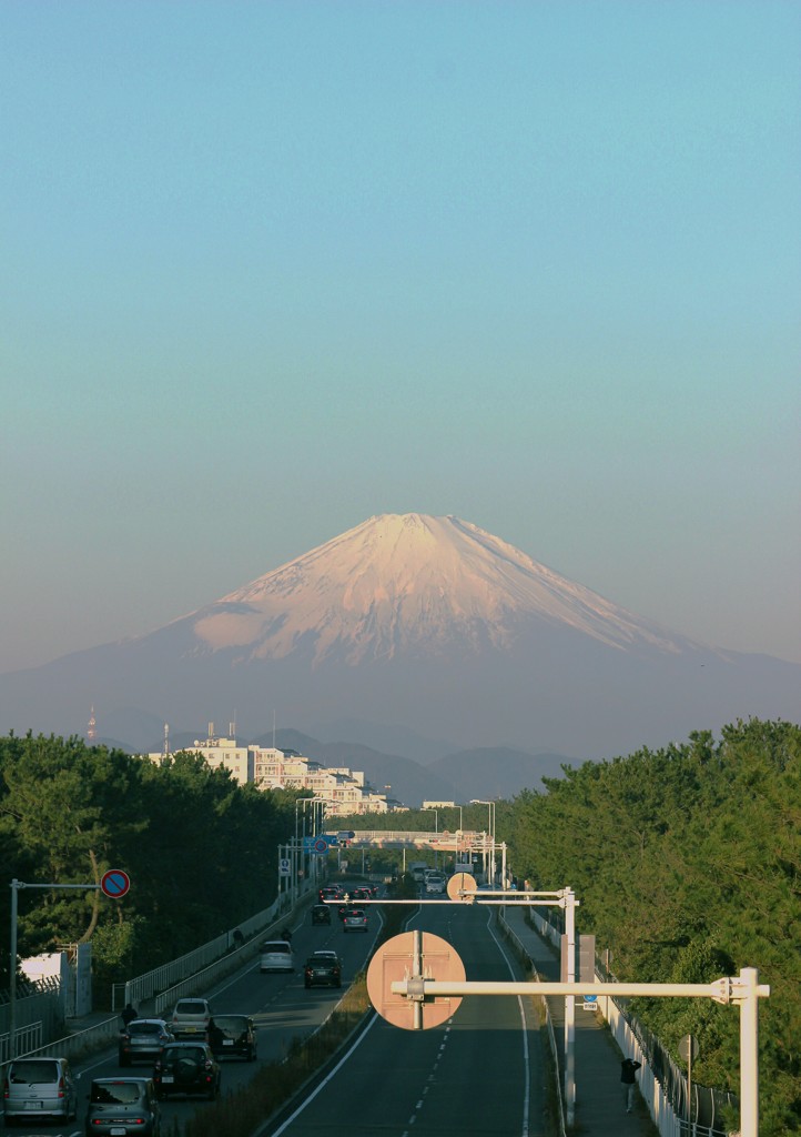 朝陽を浴びて　(少し前のシリーズ)