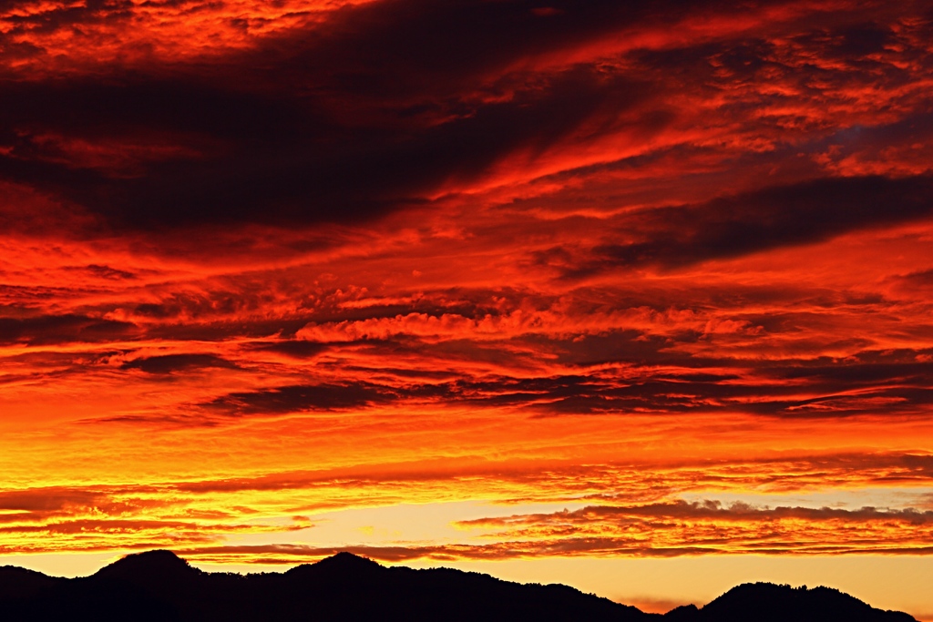 今日も見事焼けましたね。