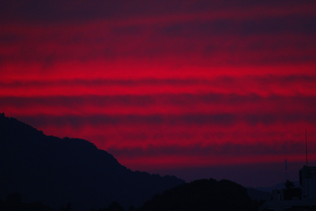 赤く焼けました。　3