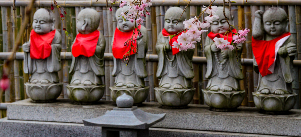 六地蔵と桜