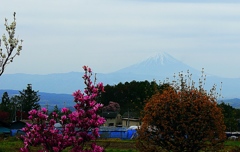 曇天の富士山