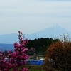 曇天の富士山