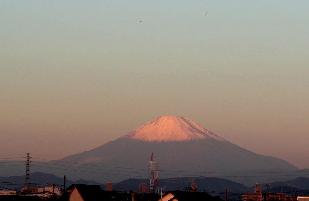 朝の赤富士