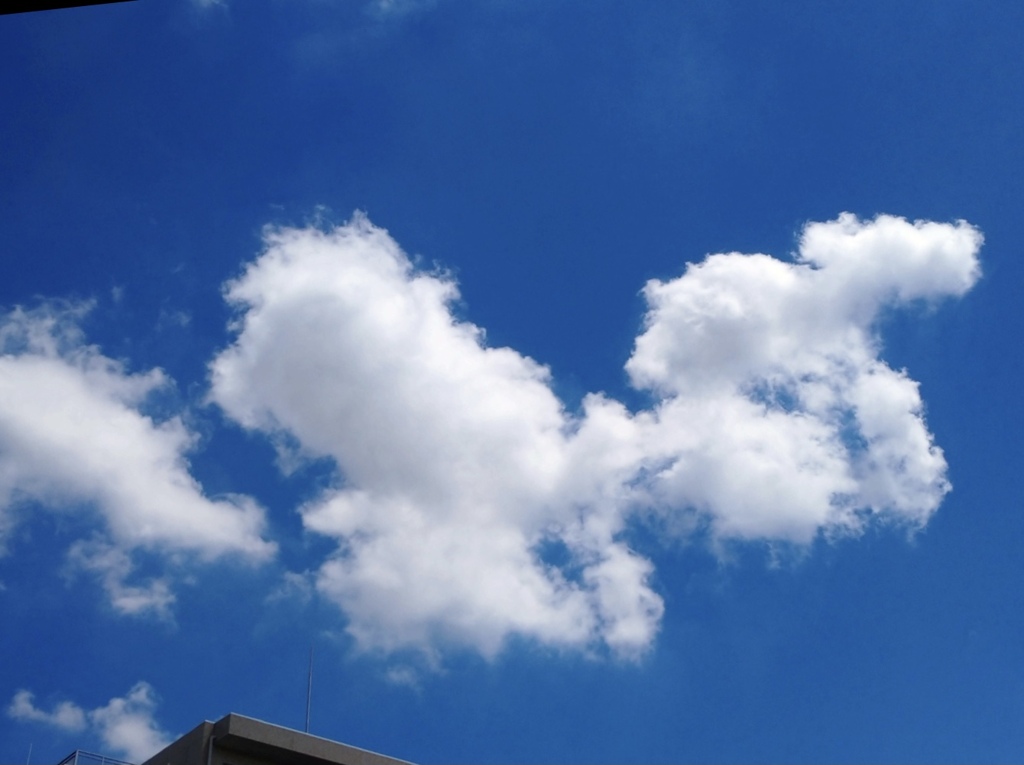 何かに見えそうな雲