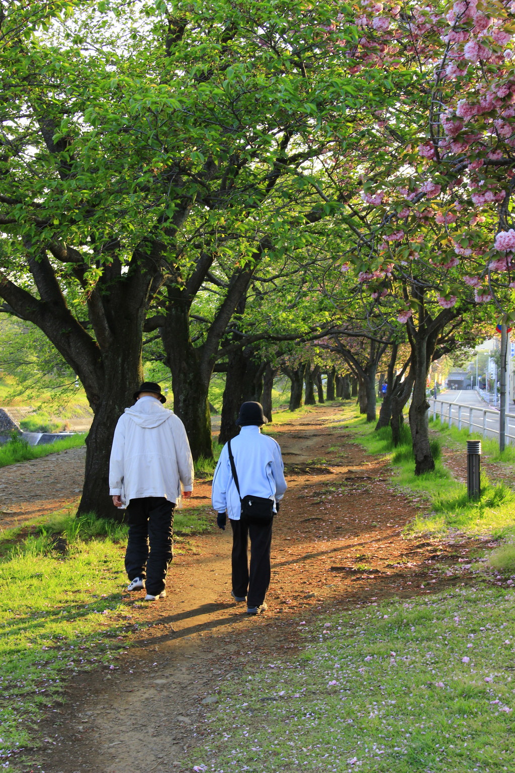 二人で歩く道