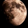 今夜の月
