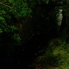 深夜の社交会