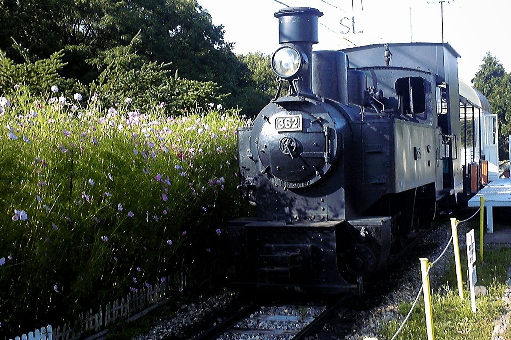 SL362