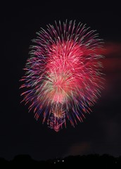 夜空の華　5