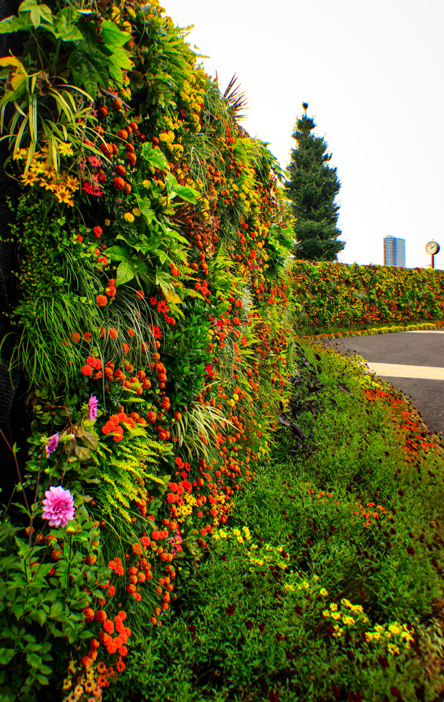 花の壁面