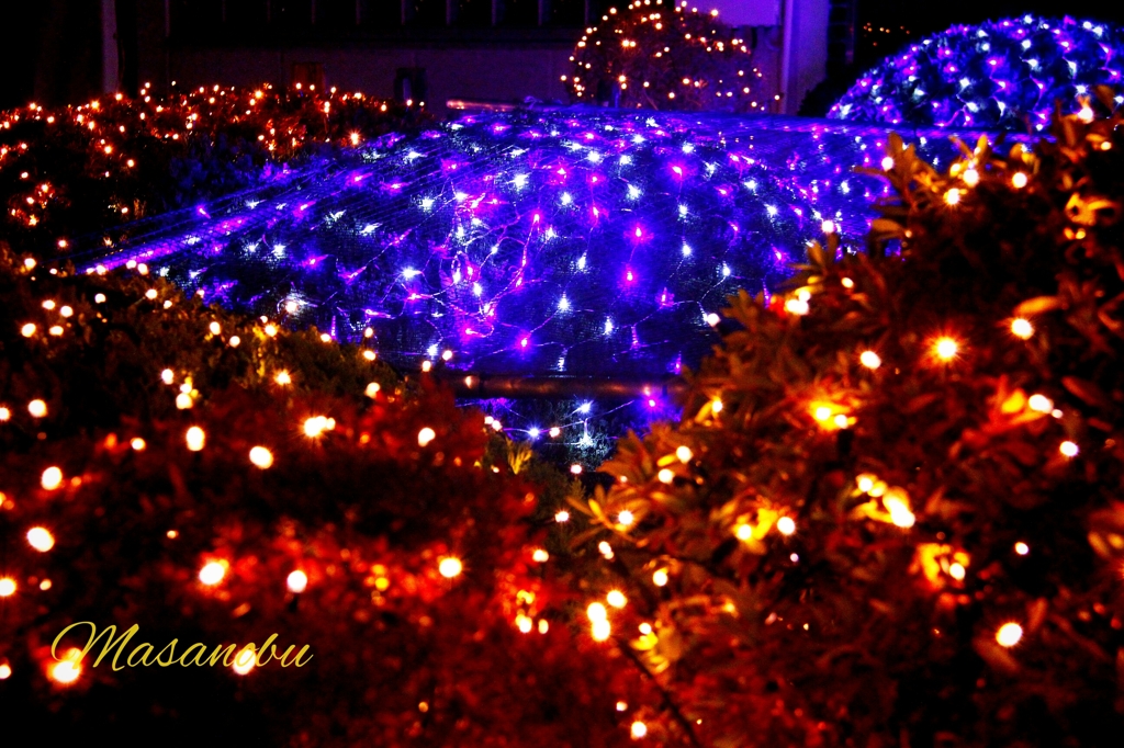 イルミネーション