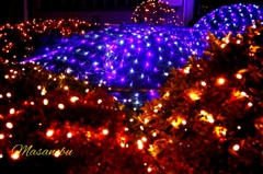 イルミネーション