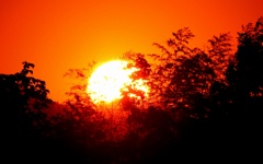 夕日が燃えている