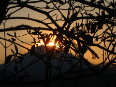 ダイヤモンド富士　3