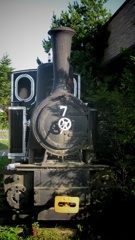 このタイプのSLも珍しいようです。