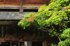 秋めいて
