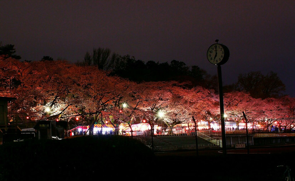 春の夜の宴