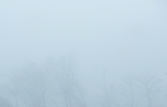 濃霧の朝