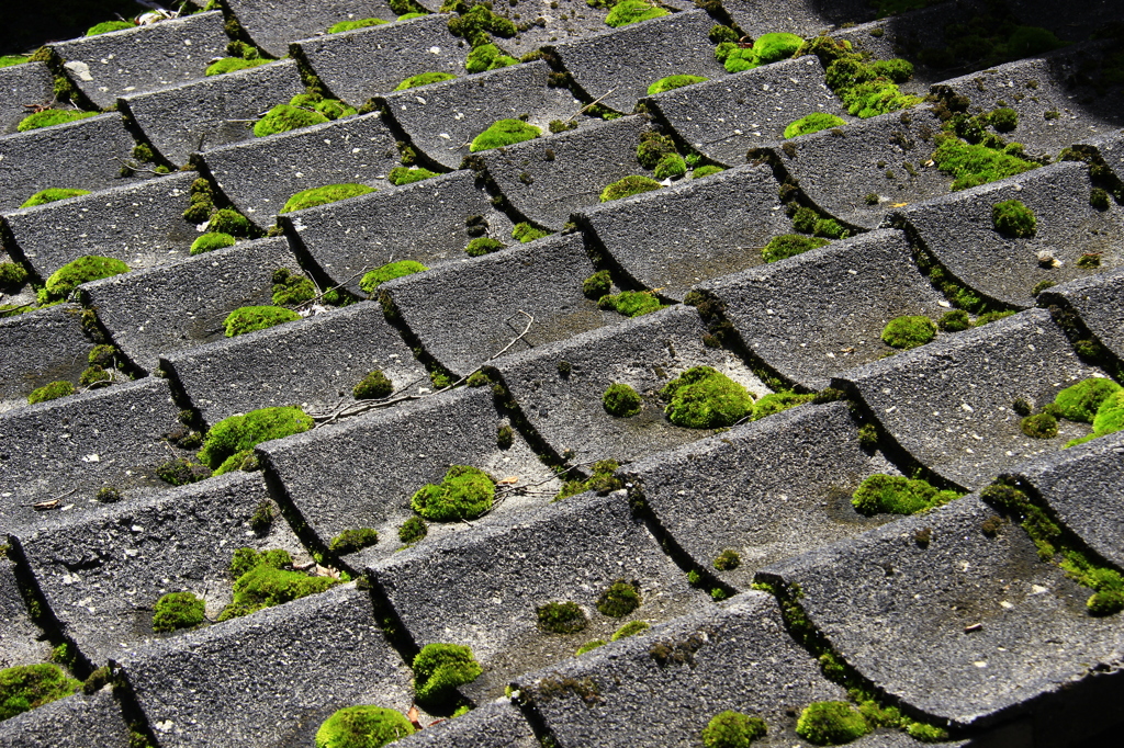 昔懐かしい屋根亙