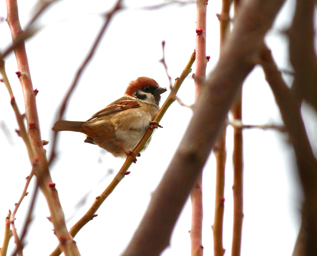 寒いよ～((((*゜▽゜*))))